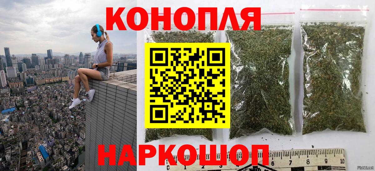 Каннабис ГИДРОПОН  Вход с VPN  Каннабис семена  Обь  Каннабис SATIVA & INDICA 